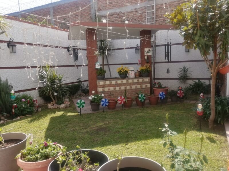 Zona e Oro I Celaya Gto.