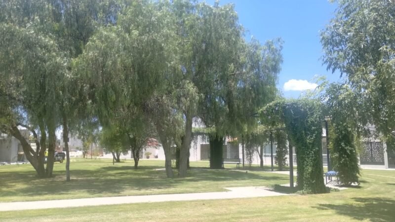 Alborada